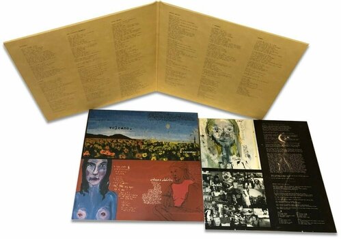 Vinyl Record Damien Rice - O (LP) - 4