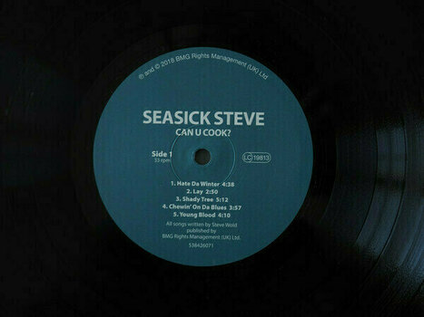 Vinyl Record Seasick Steve - Can U Cook (LP) - 5