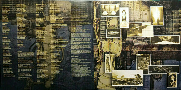 Vinyl Record Sepultura - Chaos A.D. (Expanded Edition) (LP) - 2