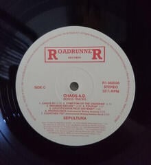 Schallplatte Sepultura - Chaos A.D. (Expanded Edition) (LP) - 6