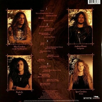 Disque vinyle Sepultura - Arise (LP) - 2