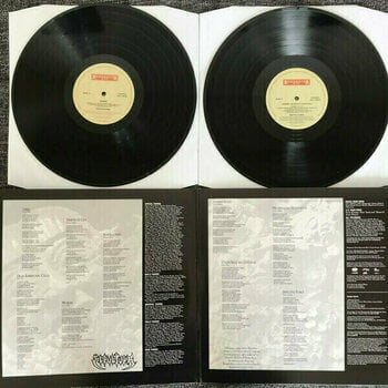 Disque vinyle Sepultura - Arise (LP) - 3