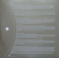 LP platňa Madonna - Ray Of Light (LP) - 6