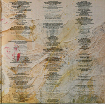 Disque vinyle Marillion - Misplaced Childhood (2017 Remastered) (LP) - 3