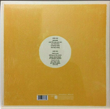Vinyl Record Bruno Mars - Doo-Wops & Hooligans (LP) - 2