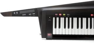 Szintetizátor Korg RK-100S2 Szintetizátor Black - 3