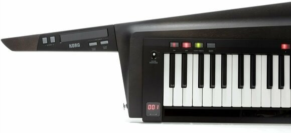 Synthesizer Korg RK-100S2 Zwart - 4