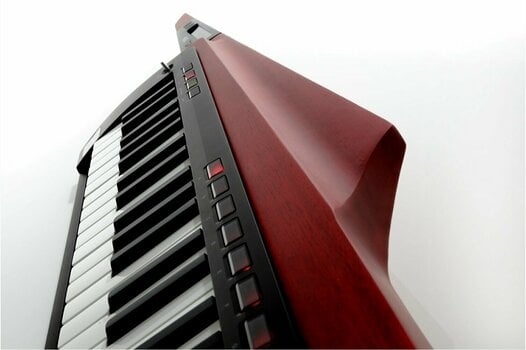 Synthesizer Korg RK-100S2 Red - 4