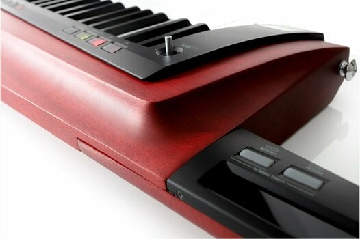 Synthesizer Korg RK-100S2 Red - 7