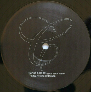 Disque vinyle Sigur Rós - Agaetis Byrjun - A Good Beginning (20Th Anniversary Edition) (LP) - 4
