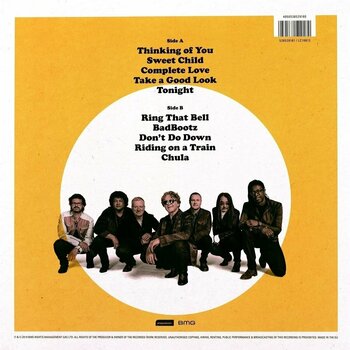 Disque vinyle Simply Red - Blue Eyed Soul (LP) - 2