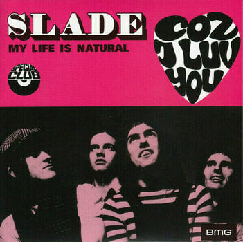 Vinyl Record Slade - Feel The Noize (10 x 7" Vinyl Box Set) - 4