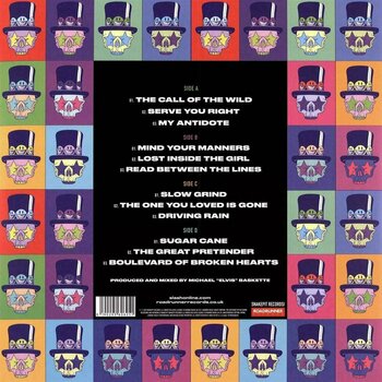 Vinyl Record Slash - Living The Dream (LP) - 2