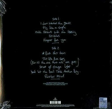 Disque vinyle Stereophonics - Kind (LP) - 2