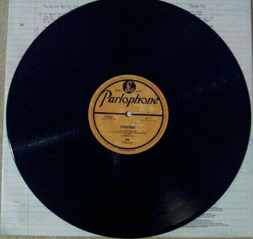 Vinylplade Stereophonics - Kind (LP) - 6