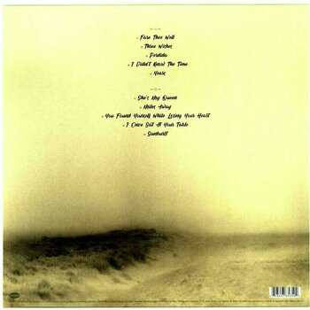 Disco de vinil Stone Temple Pilots - Perdida (LP) - 4