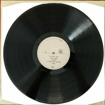 Disco de vinilo Stone Temple Pilots - Perdida (LP) - 2