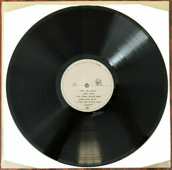 Disco de vinil Stone Temple Pilots - Perdida (LP) - 3