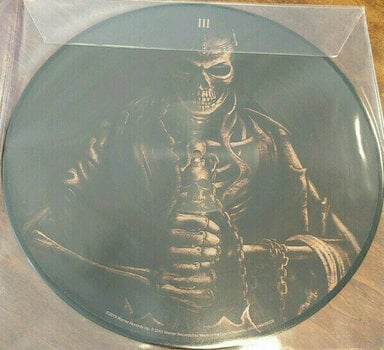 Vinyylilevy Avenged Sevenfold - Hail To The King (Picture Vinyl) (LP) - 5