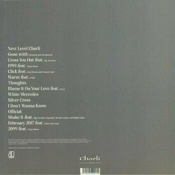 Disco de vinilo Charli XCX - Charli (2 LP) - 10