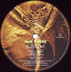LP Iron Maiden - Fear Of The Dark (LP) - 3