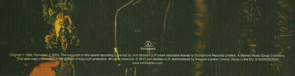 LP plošča Iron Maiden - Fear Of The Dark (LP) - 10