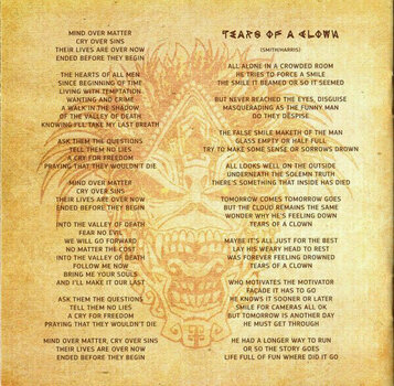 Disque vinyle Iron Maiden - The Book Of Souls (3 LP) - 8