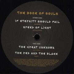 LP platňa Iron Maiden - The Book Of Souls (3 LP) - 3