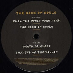 LP platňa Iron Maiden - The Book Of Souls (3 LP) - 5