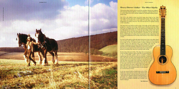 Vinyl Record Jethro Tull - Heavy Horses (LP) - 19