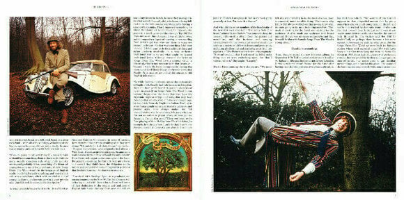 Disco de vinil Jethro Tull - Songs From The Wood (LP) - 9