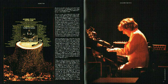 LP platňa Jethro Tull - Songs From The Wood (LP) - 16