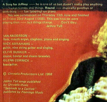 Schallplatte Jethro Tull - This Was (LP) - 7