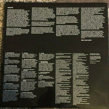 Schallplatte Stormzy - Gang Signs & Prayer (LP) - 10