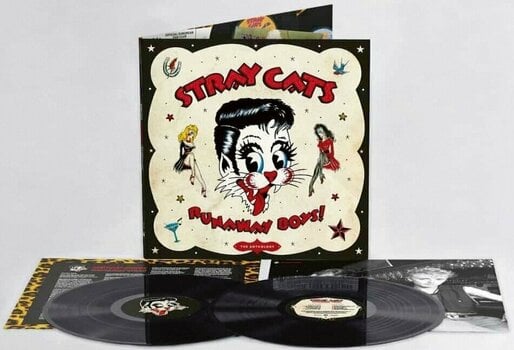 Vinyl Record Stray Cats - Runaway Boys (LP) - 3
