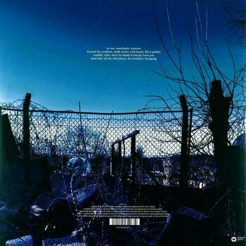 Disque vinyle Suede - The Blue Hour (LP) - 12