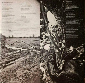 Disque vinyle Suede - The Blue Hour (LP) - 10