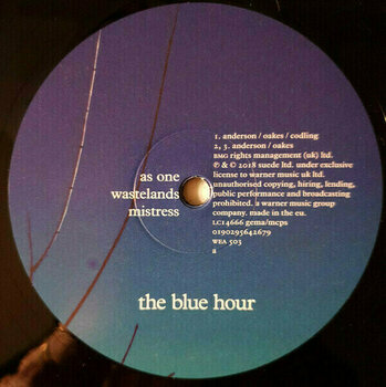 Vinyl Record Suede - The Blue Hour (LP) - 4
