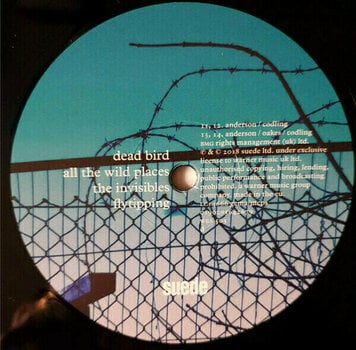Vinyl Record Suede - The Blue Hour (LP) - 5