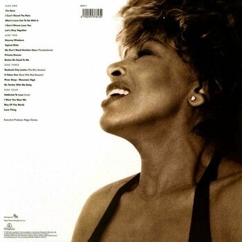 Vinyl Record Tina Turner - Simply The Best (LP) - 3