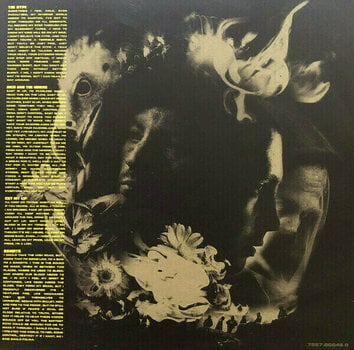 Vinyl Record Twenty One Pilots - Trench (LP) - 2