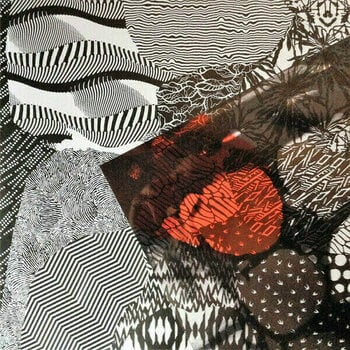 Vinyylilevy Twenty One Pilots - Blurryface (LP) - 13