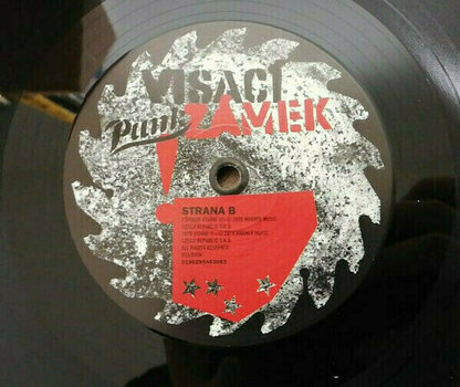 Vinyl Record Visací Zámek - Punk (LP) - 3