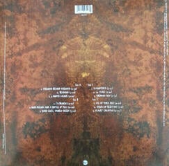 LP deska Pantera - Far Beyond Driven (20Th Anniversary) (LP) - 1