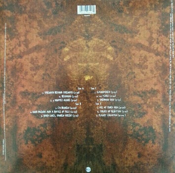 Disco de vinilo Pantera - Far Beyond Driven (20Th Anniversary) (LP) - 2