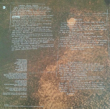 LP Pantera - Far Beyond Driven (20Th Anniversary) (LP) - 5