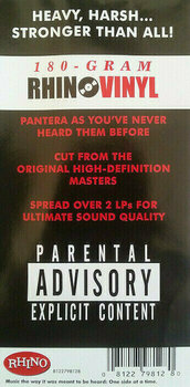 Vinyl Record Pantera - Far Beyond Driven (20Th Anniversary) (LP) - 13