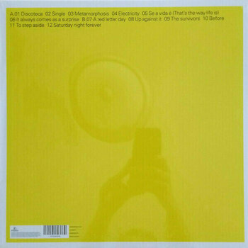 Vinyl Record Pet Shop Boys - Bilingual (LP) - 2