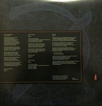 Płyta winylowa Pink Floyd - A Momentary Lapse Of Reason (2011 Remastered) (LP) - 6