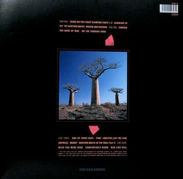 LP Pink Floyd - Delicate Sound Of Thunder (LP) - 13